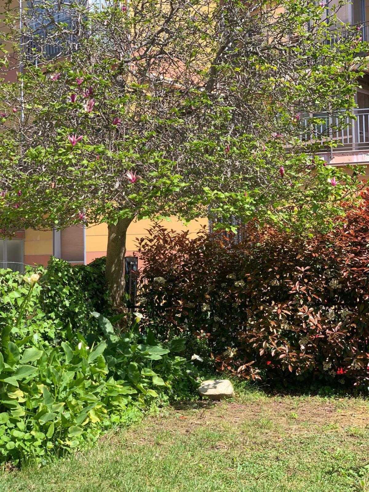 B&B La Magnolia Savona Bagian luar foto